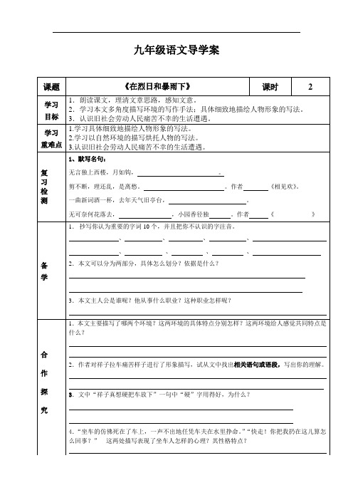 九年级语文导学案在烈日和暴雨下