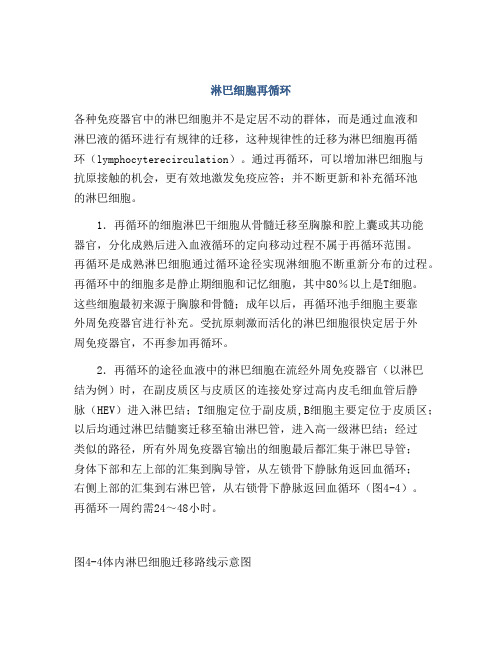 淋巴细胞再循环