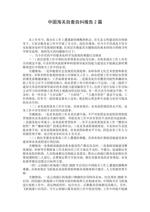 中国海关自查自纠报告2篇