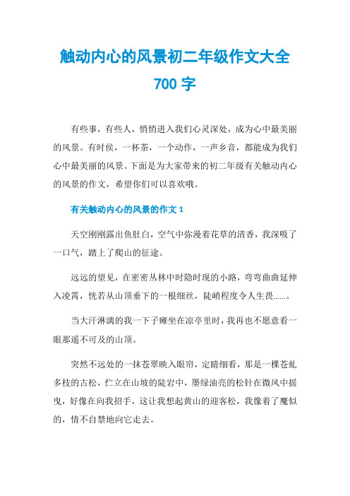 触动内心的风景初二年级作文大全700字