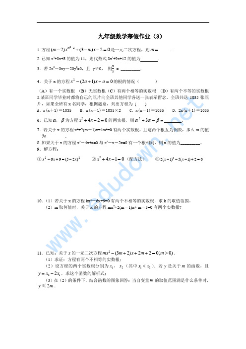 九年级数学寒假作业(3)