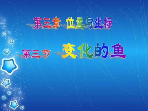 《变化的鱼》位置与坐标  优秀PPT课件3