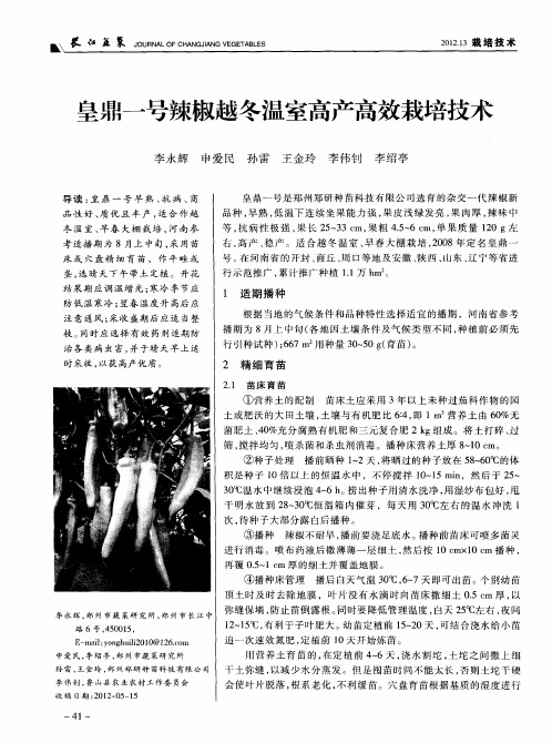 皇鼎一号辣椒越冬温室高产高效栽培技术