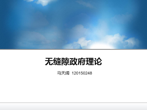 无缝隙政府理论