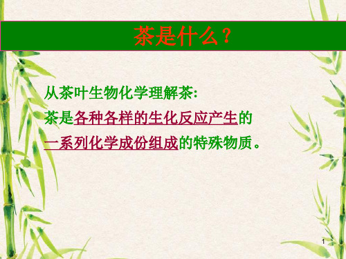 茶与健康 课件 第二讲 茶成分.ppt