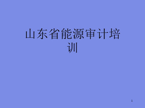 山东省能源审计培训