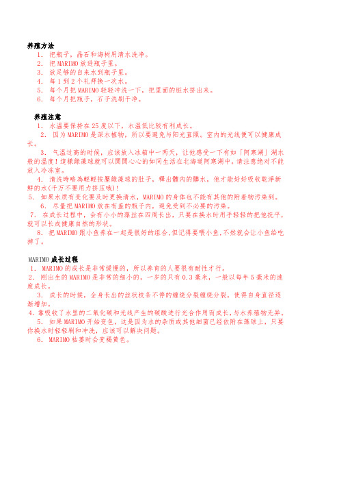 海藻球的养法~