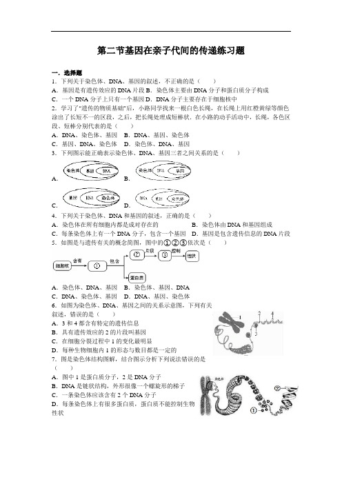 第二节基因在亲子代间的传递练习题