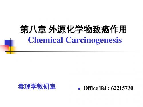 ChemicalCarcinogenesis