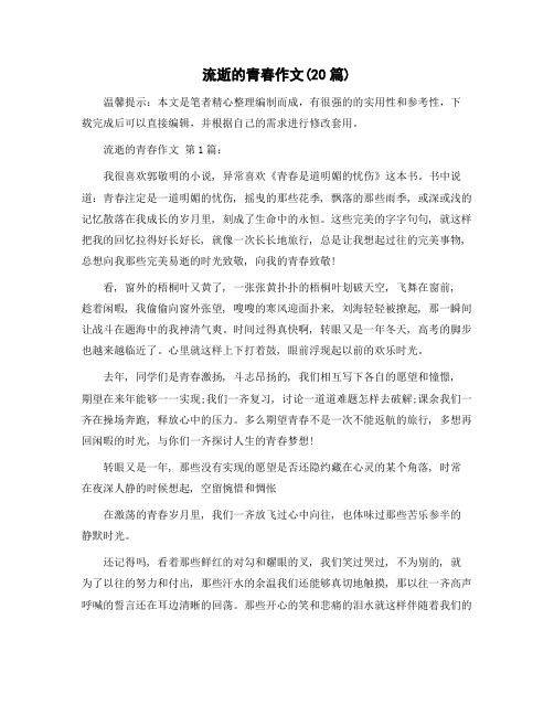 流逝的青春作文(20篇)精选范文
