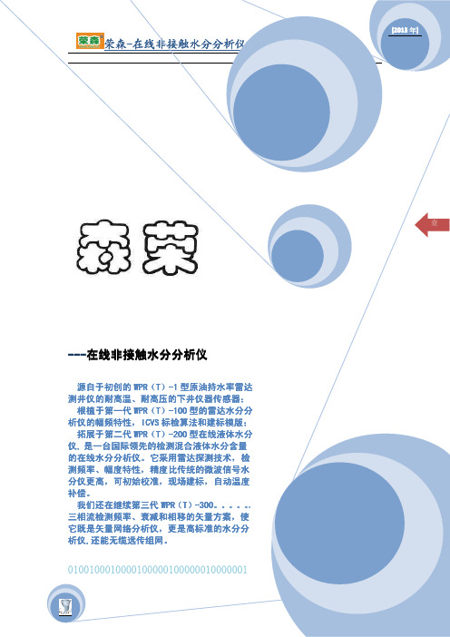WPR(T)-300系列在线非接触水分仪