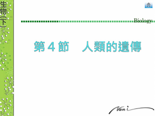 血型基因型表现型
