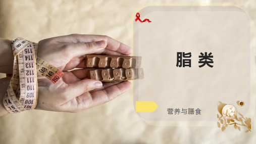 脂    类