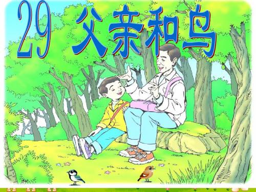 《父亲和鸟》课件