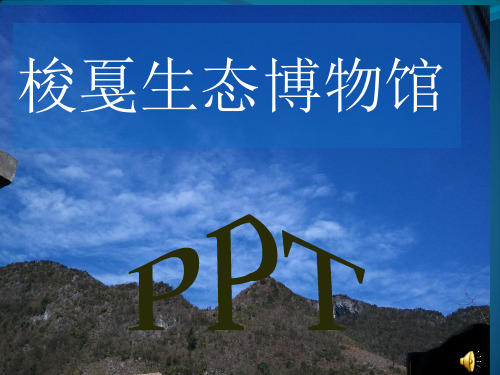 30梭戛苗族文化生态博物馆
