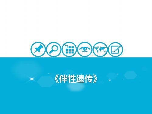 人教生物教材伴性遗传PPT精讲课件