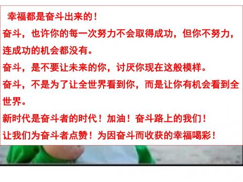 苏人版九年级政治全册课件：12 放飞理想 立志成才 (共17张PPT)