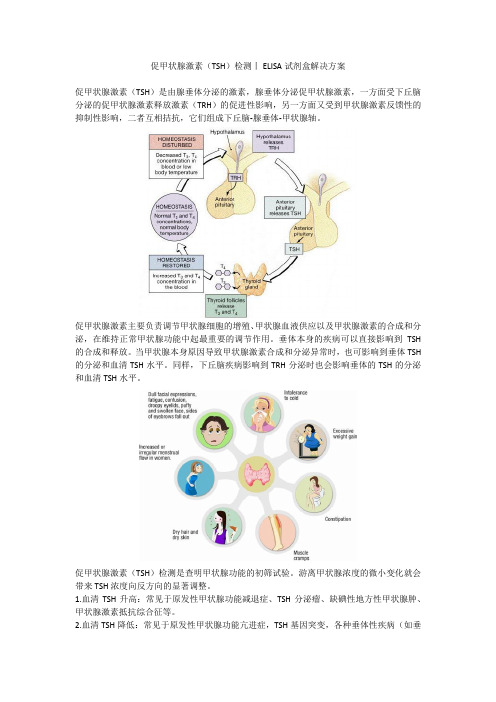 促甲状腺激素(TSH)检测丨ELISA试剂盒解决方案