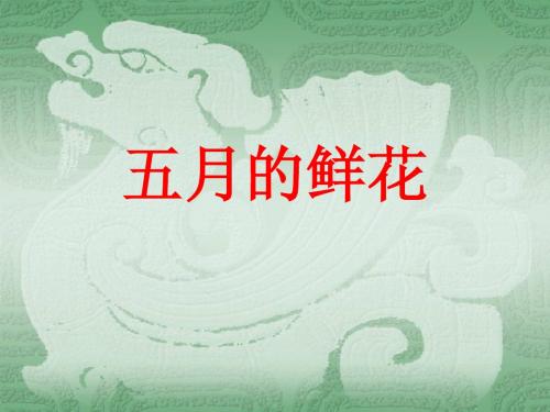 五月的鲜花--选
