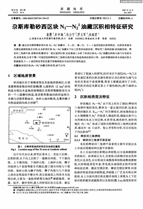尕斯库勒砂西区块N1—N 12油藏沉积相特征研究