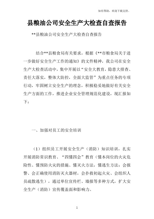 县粮油公司安全生产大检查自查报告