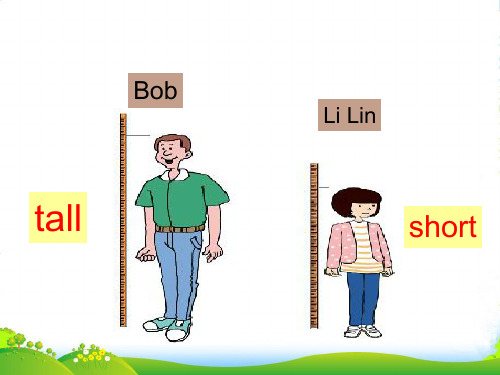 英语七年级冀教版 Lesson 15 Tall or Short(共20张PPT)
