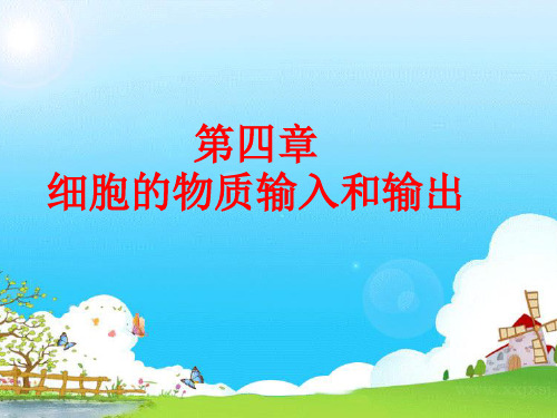 人教版高中生物必修1第四章第1节 物质跨膜运输的实例(共19张PPT)