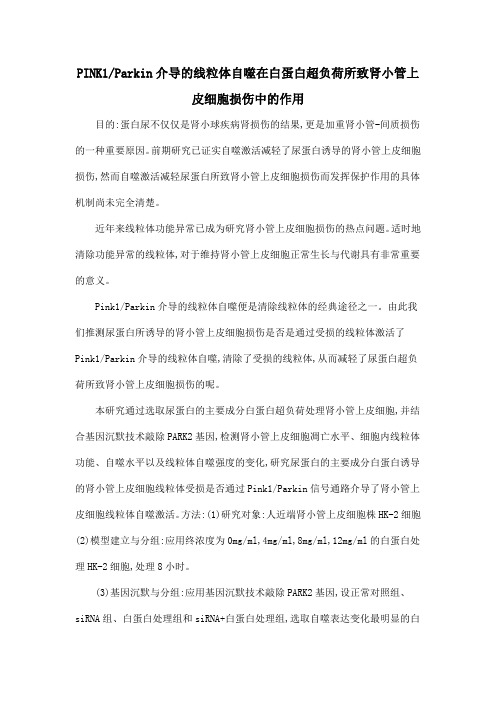 PINK1Parkin介导的线粒体自噬在白蛋白超负荷所致肾小管上皮细胞损伤中的作用