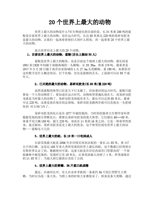 20个世界上最大的动物
