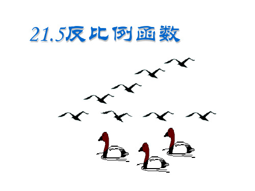 初中数学九上 21.5.1 反比例函数 课件