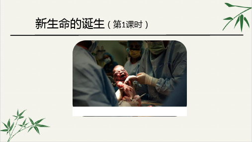 七年级下科学《新生命的诞生》PPT课件浙教版
