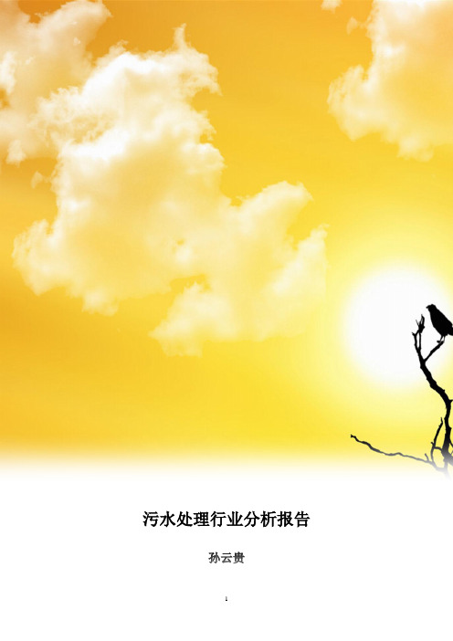 污水处理行业分析报告(终极版)