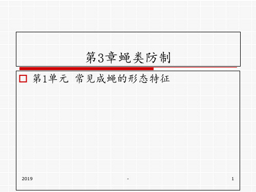 第三章蝇类防制常见成蝇的形态特征ppt课件