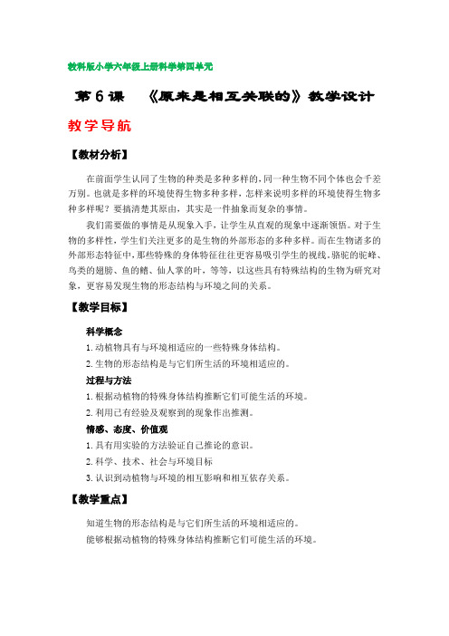 第6课  《原来是相互关联的》教案(教科版小学六年级上册科学第四单元)