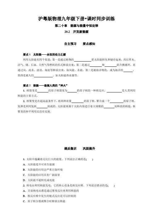 沪粤版物理九年级下册 课时同步训练 20.2 开发新能源
