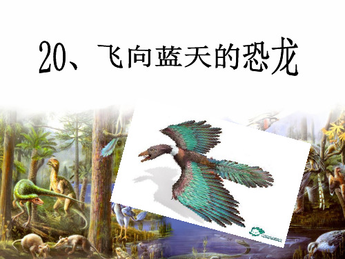 20、飞向蓝天的恐龙(完美版)