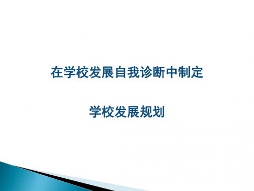 在学校发展自我诊断中制定学校发展规划课件(PPT 30张)