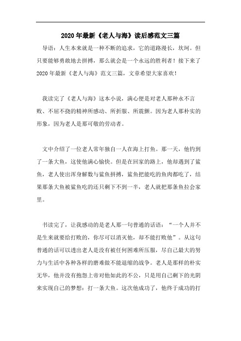 2020年最新《老人与海》读后感范文三篇