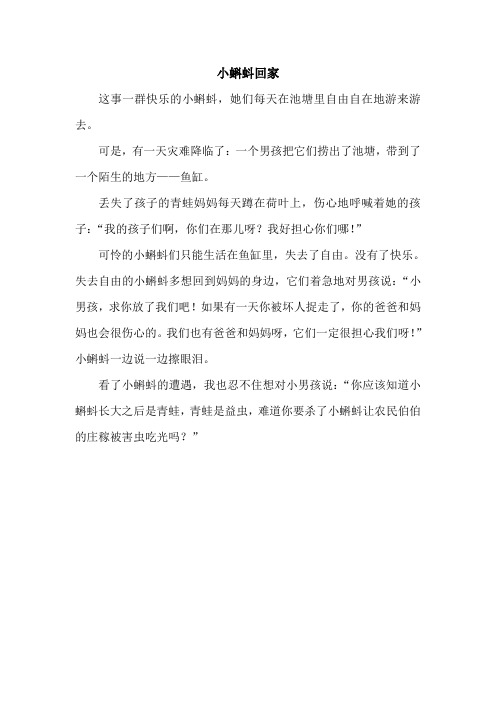 沪教版二年级作文小蝌蚪回家