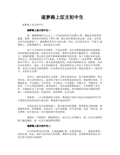 逐梦路上征文初中生