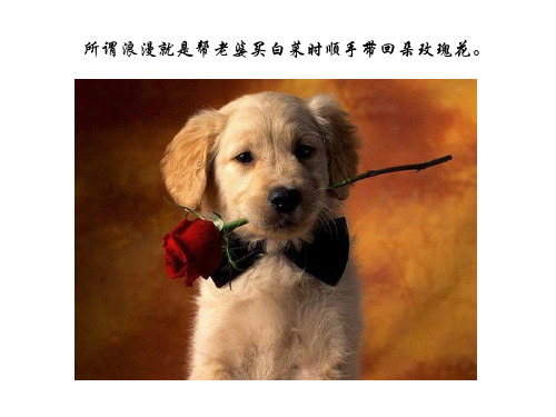 一张图一句话诉说人生哲理ppt