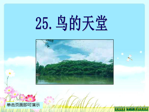 最新语文S版四年级语文下册25、鸟的天堂ppt课件(ppt公开课优质教学课件)B
