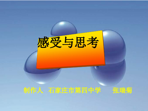 感受与思考ppt[优秀课件资料]