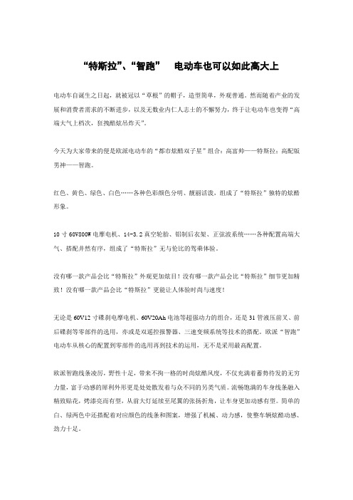 “特斯拉”、“智跑”  电动车也可以如此高大上