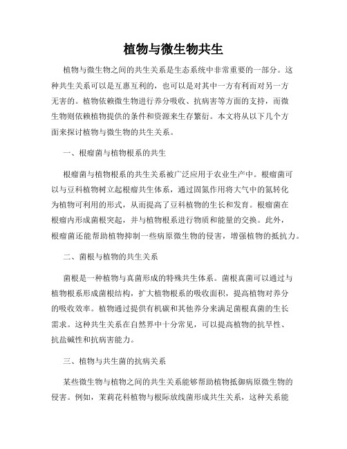 植物与微生物共生