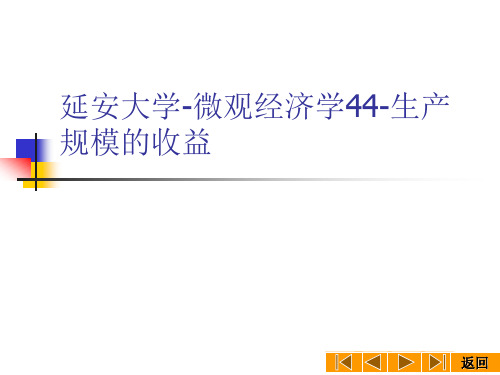 延安大学-微观经济学44-生产规模的收益
