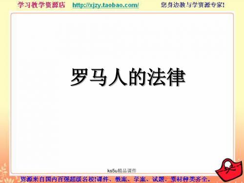6.3罗马人的法律 课件