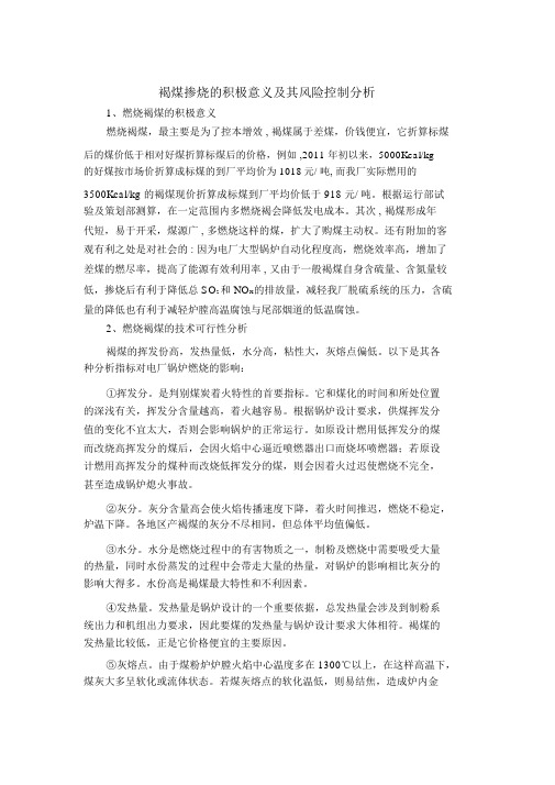 褐煤掺烧的积极意义及其风险控制分析