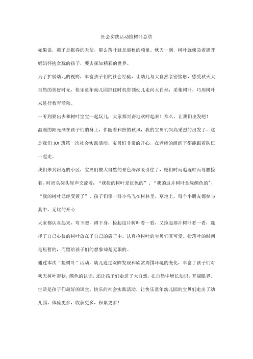 社会实践活动捡树叶总结