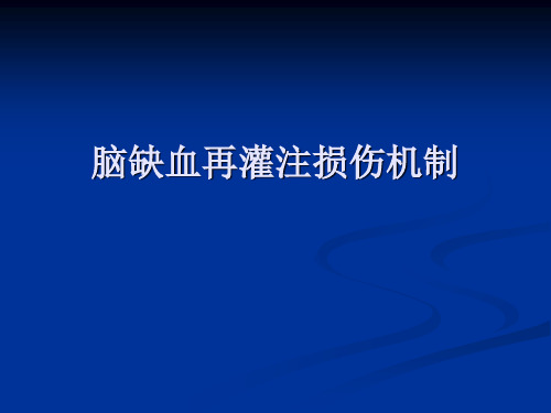 脑缺血再灌注损伤机制